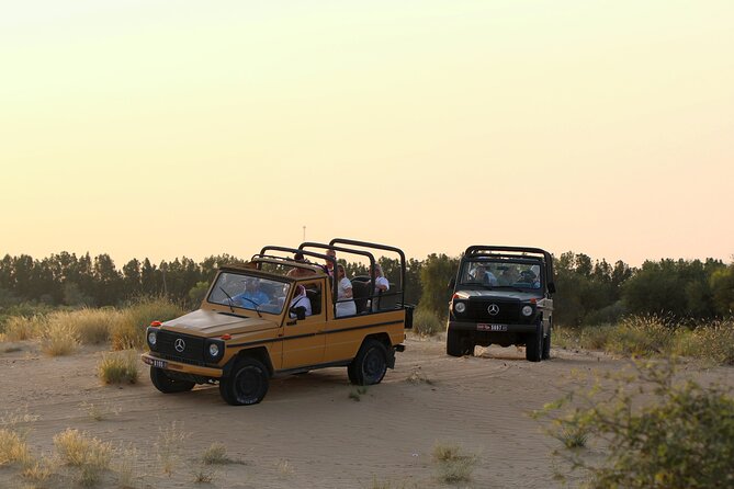 Dubai: Morning Heritage Safari by Vintage G Class & Al Marmoom Oasis - The 50-minute ride from Dubai to the reserve