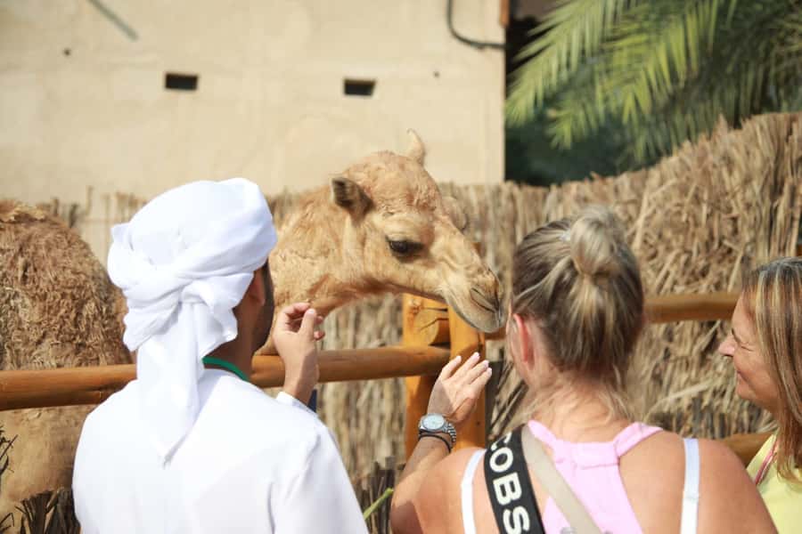 Dubai: Old City Walking Tour with Abra Ride - Al Bastakiya and the old house lanes