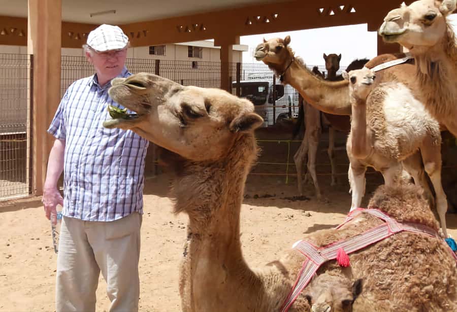 Dubai: Old City Walking Tour with Abra Ride - Al Seef gives you a gentle introduction