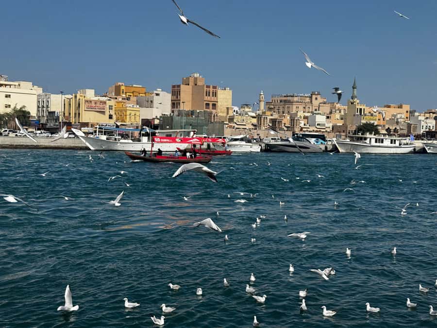 Dubai: Old Town Walking Tour with Abra Cruise & Street Food - Dubai Museum and the story behind the city