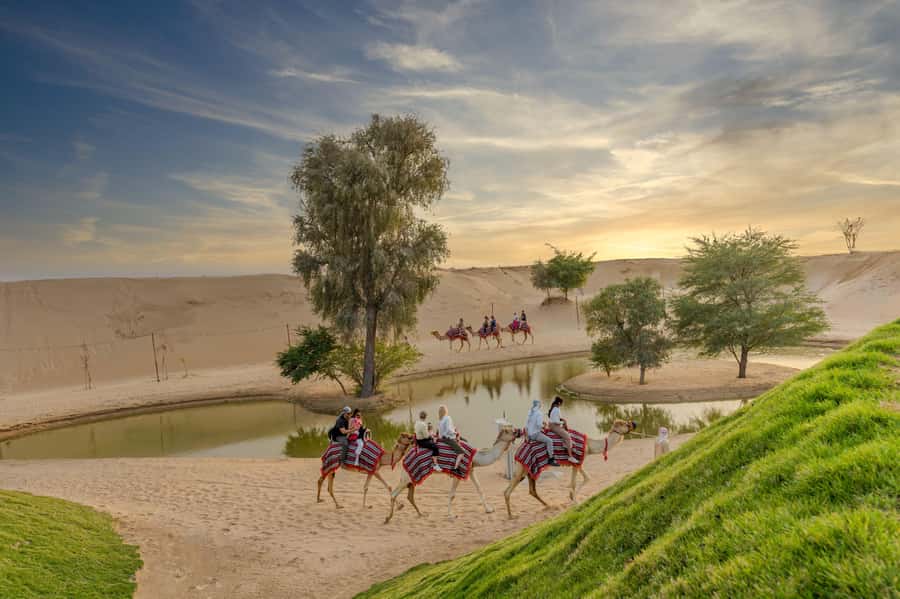 Dubai: Overnight Safari with Luxury Dome Stay & Stargazing - Key things to know before booking