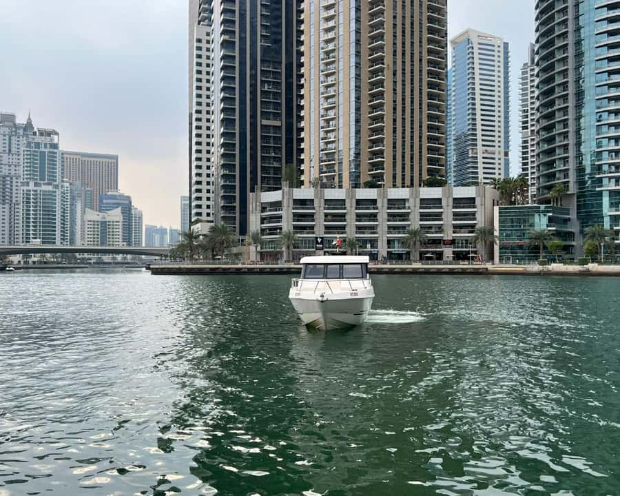 Dubai: Private Boat Cruise from Dubai Marina - Ain Dubai and the Palm Jumeirah view