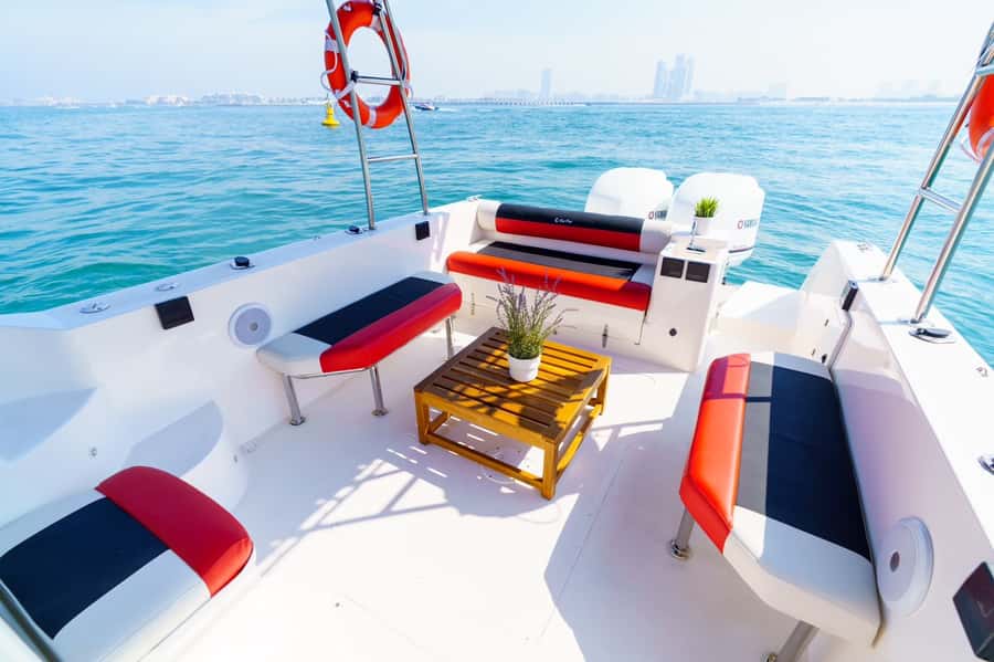 Dubai: Private Coastline Landmarks Mini-Yacht Tour - Cruising around Palm Jumeirah