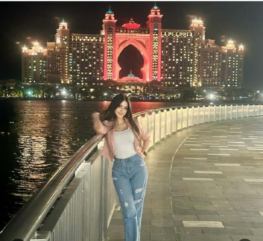 Dubai :Private Day & night customize city tour - Dubai Frame and Zabeel Palace: quick stops with a big-city view
