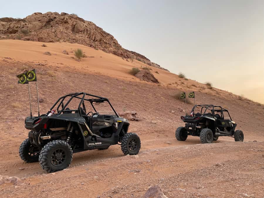Dubai: Private Desert Buggy Tour, Camel Ride & Sandboarding - What the one-hour buggy ride feels like