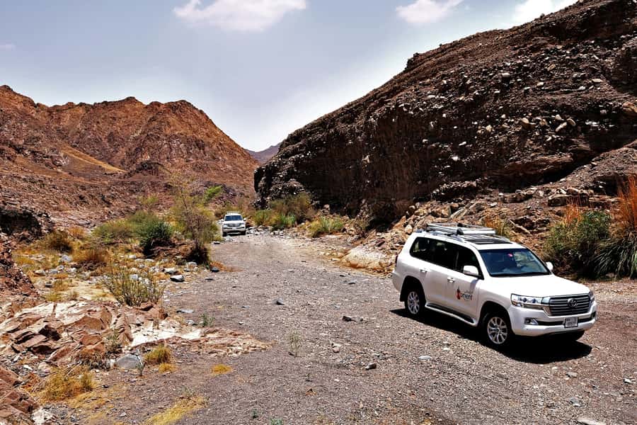 Dubai: Private Desert Day Tour and Wadi Shawka Pool Visit - Wadi Shawka and the question of water