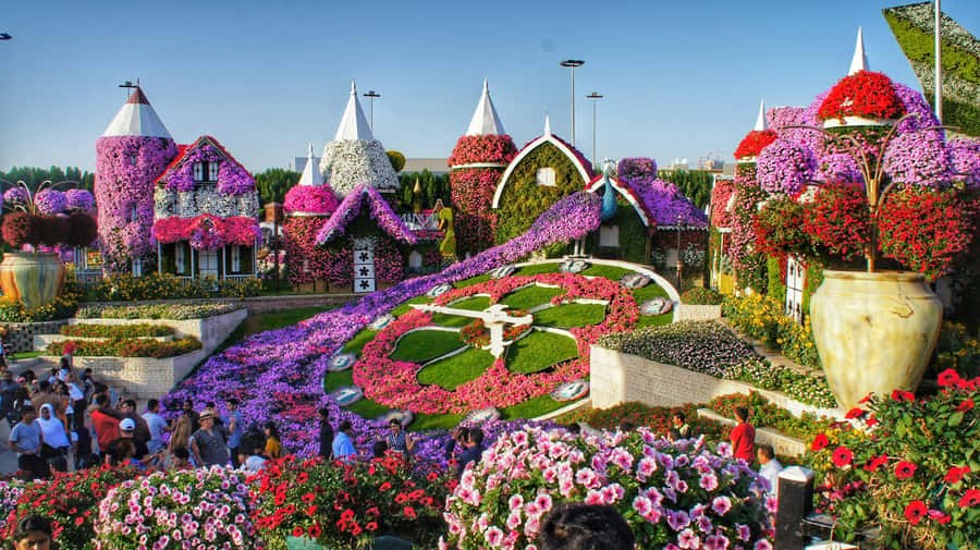 Dubai: Private Dubai Flora and Fauna Trip - Why these two Dubai gardens work well together