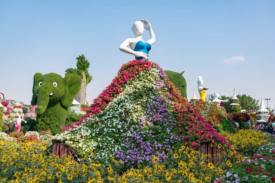 Dubai: Private Dubai Flora and Fauna Trip - Who should book this garden trip?