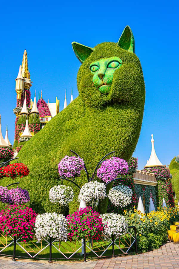 Dubai: Private Dubai Flora and Fauna Trip - Practical advice before you go