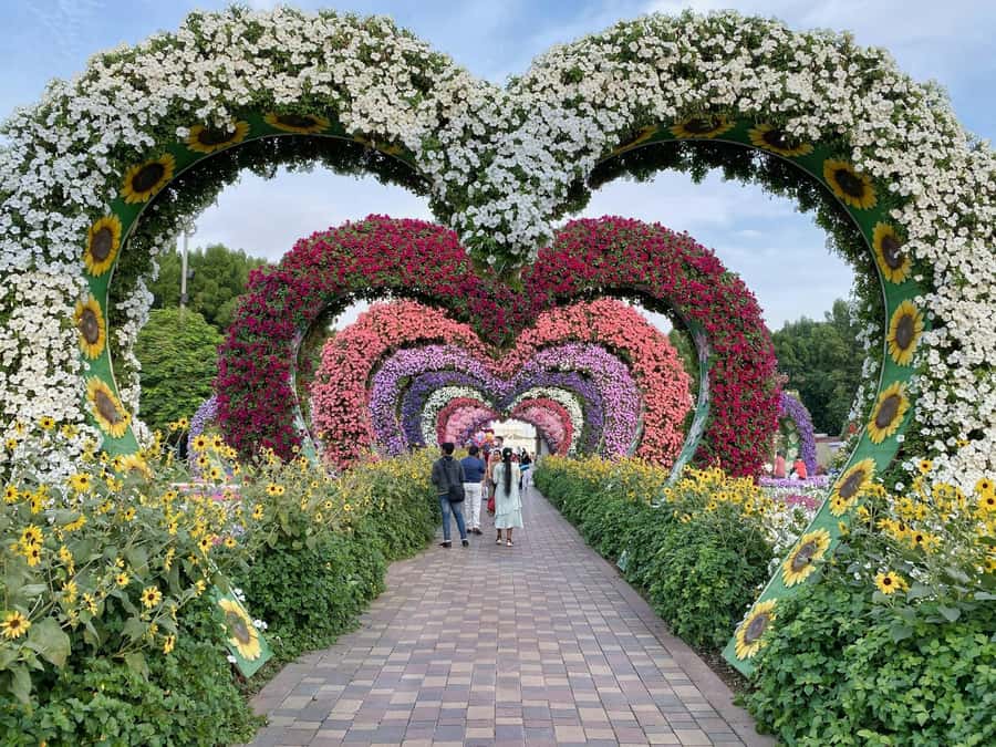 Dubai: Private Dubai Flora and Fauna Trip - Should you book it?