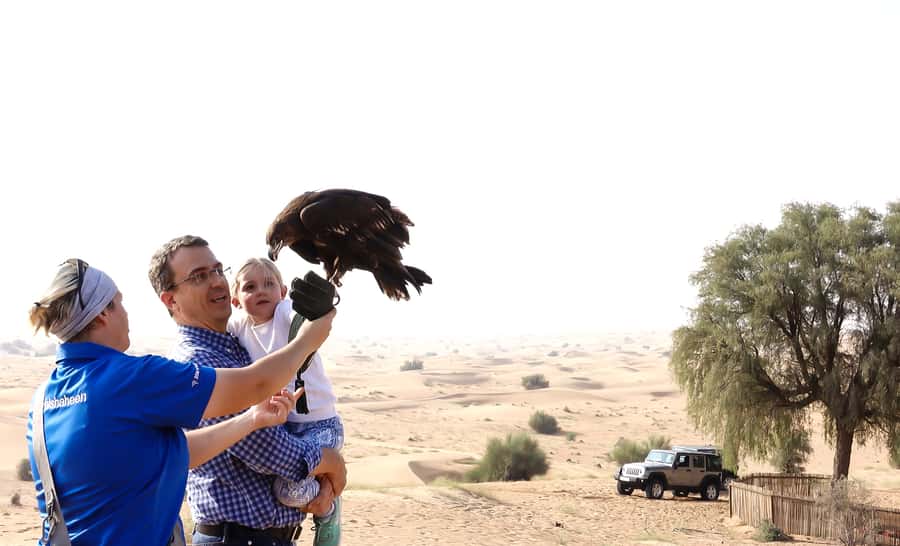 Dubai: Private Falconry Safari - Key points at a glance