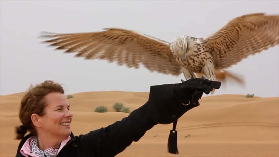 Dubai: Private Falconry Safari - Why the small group matters