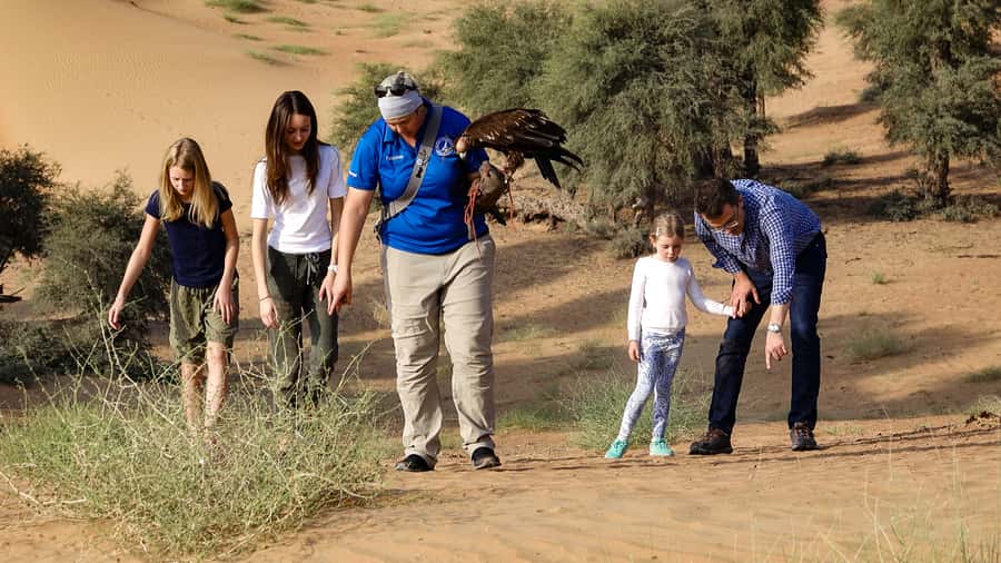Dubai: Private Falconry Safari - What the wildlife drive is really like