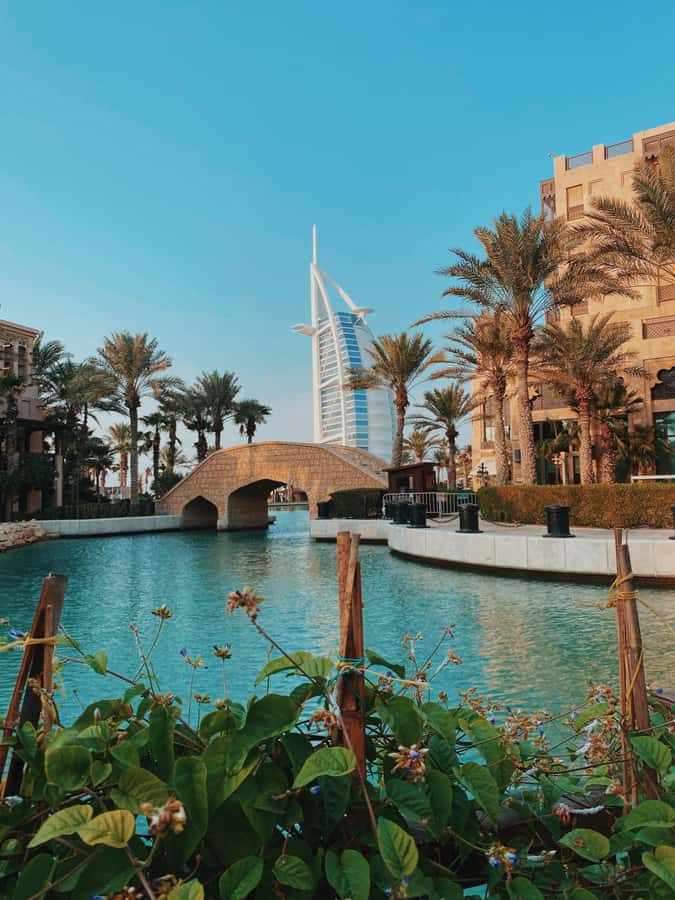 Dubai:Private Frame Entry, Mosque, Souks, Tastings& transfer - Who will enjoy this tour most