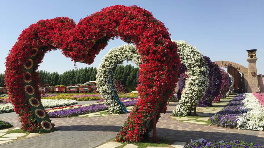 Dubai: Private Miracle Garden & Global Village Trip - Miracle Garden and its giant floral displays