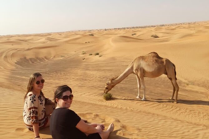 Dubai Private Morning Desert Safari: Camel Ride & Sandboarding - Who should book this morning safari
