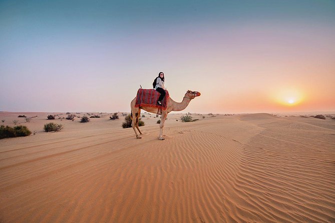 Dubai Private Morning Desert Safari: Camel Ride & Sandboarding - Dune bashing in the 4x4
