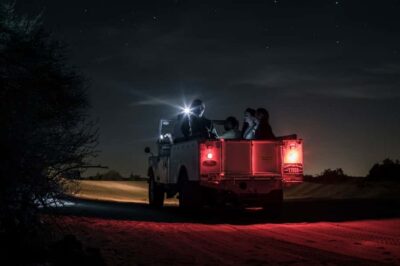 Private Night Safari & Astronomy with 3-Course Dinner