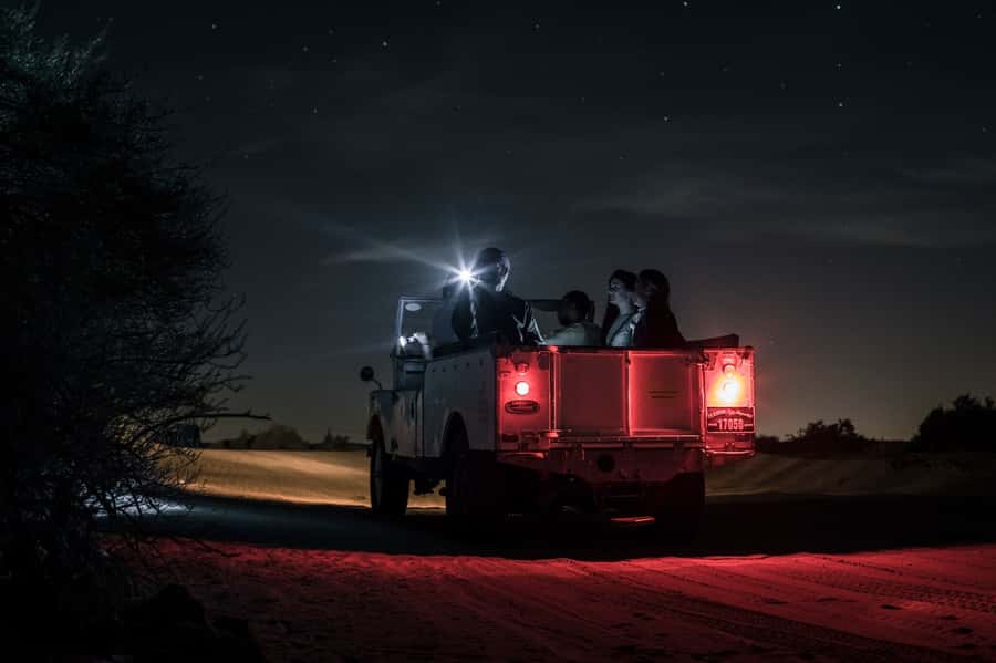 Dubai: Private Night Safari & Astronomy with 3-Course Dinner - Night wildlife in the Dubai Desert Conservation Reserve