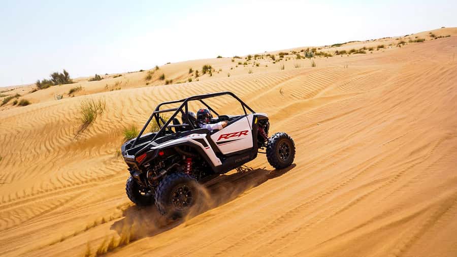 Dubai: Red Dune Desert, Dune Buggy Ride & BBQ Buffet Dinner - Key points at a glance