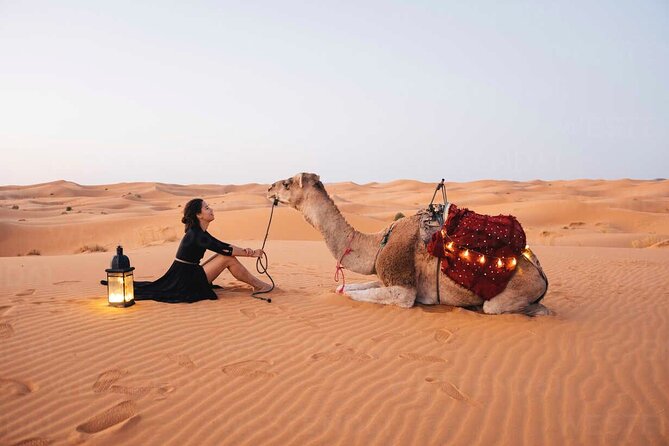 Dubai: Red Dunes Desert Safari, Camel ride, Sandboard, Quad Bike - From Dubai’s towers to Lahbab’s red sand