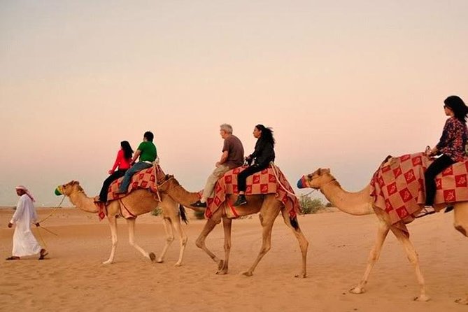 Dubai Red Dunes Desert Safari : Sandboarding, BBQ & Live Shows - BBQ dinner with vegetarian choices