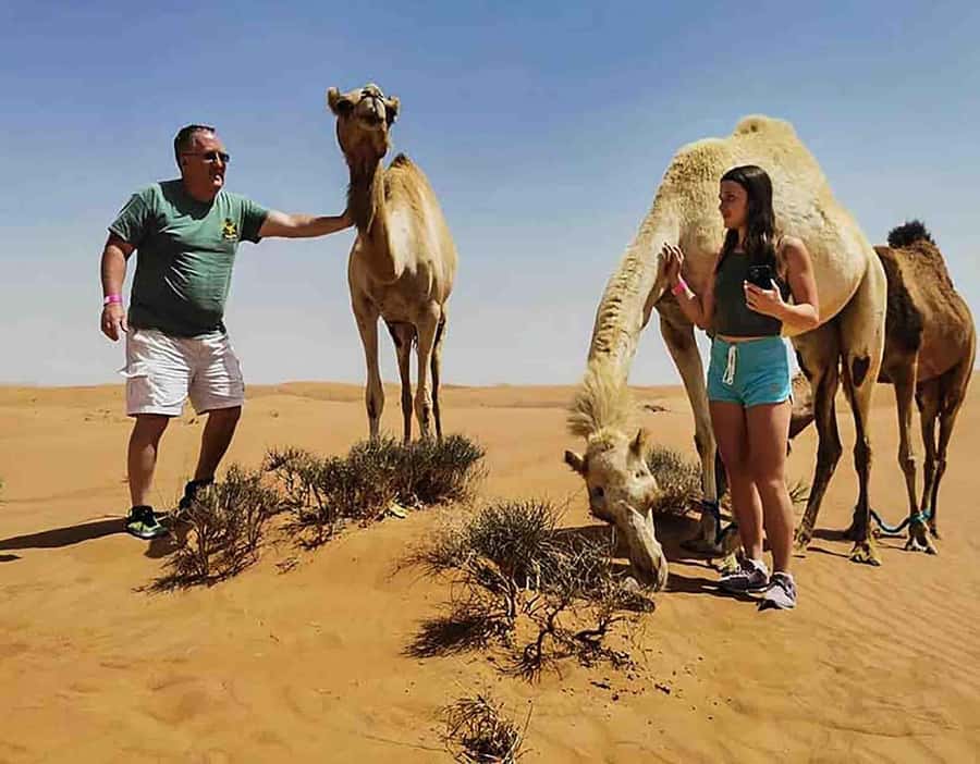 Dubai: Red Dunes Desert Safari with Premium Camp BBQ & Shows - From Desert Sand to Premium Camp