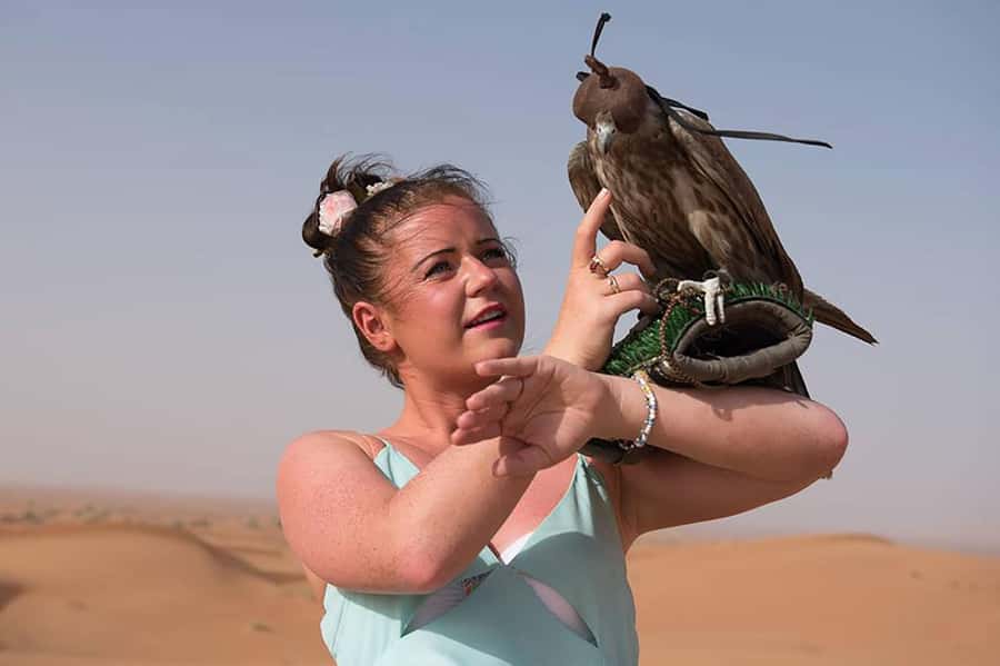 Dubai: Red Dunes Desert Safari with Premium Camp BBQ & Shows - Who Should Book This Safari?