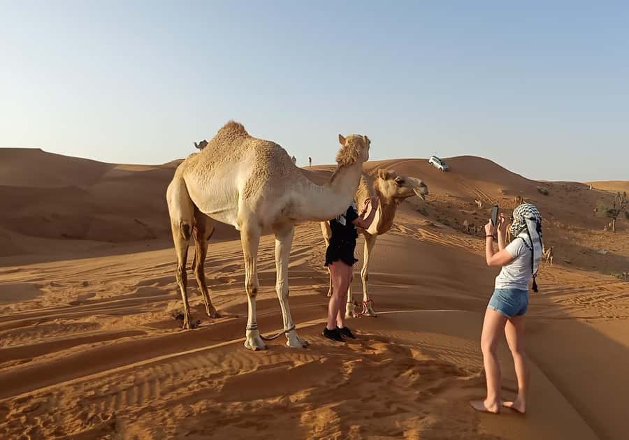 Dubai: Red Dunes Morning Desert Quad, Buggy or 4x4 Ride - Sandboarding and the camel pause