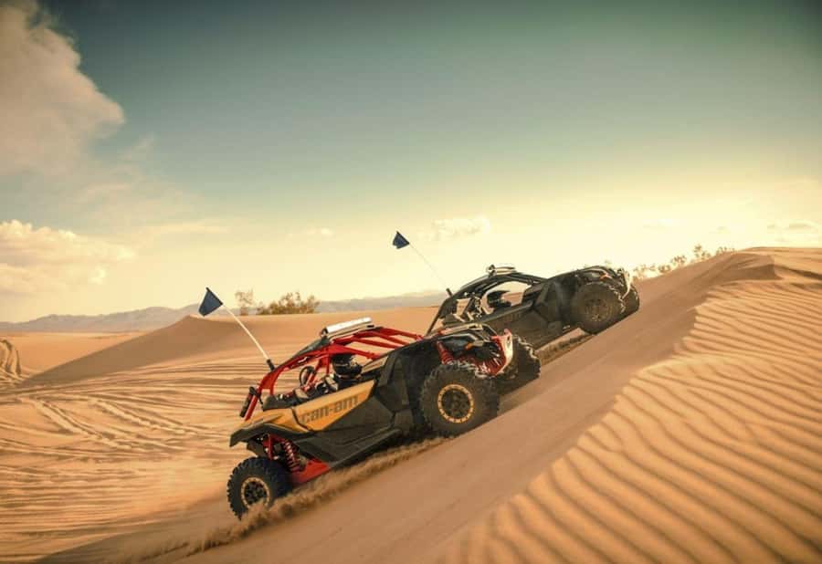 Dubai: Red Dunes Quad Bike, Dune Buggy, Camel & Refreshments - Red dunes, open sand, and a choice of vehicles