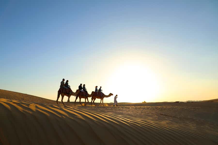 Dubai: Red Dunes Quad Bike with Sandboarding, Camels and BBQ - A short camel ride and a closer look at camp life