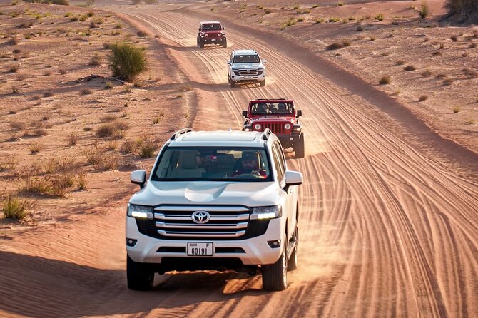 Dubai Red Dunes Safari: Dune Bashing, Camel Ride & Breakfast - Why the red dunes make this safari different