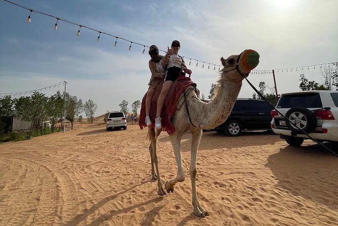 Dubai: Red Dunes, Sandsurf, Camel Ride, BBQ Dinner at Desert Camp - Is $40 a fair price?