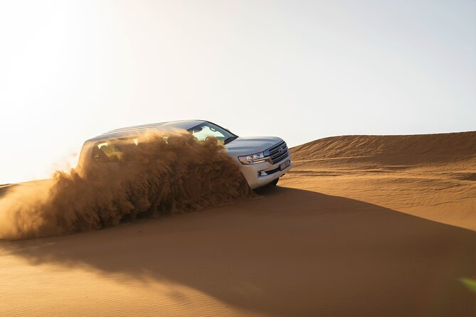 Dubai Red Dunes with Sandboarding, Camel Ride, Falcon & VIP Camp - What the $55.82 price really covers
