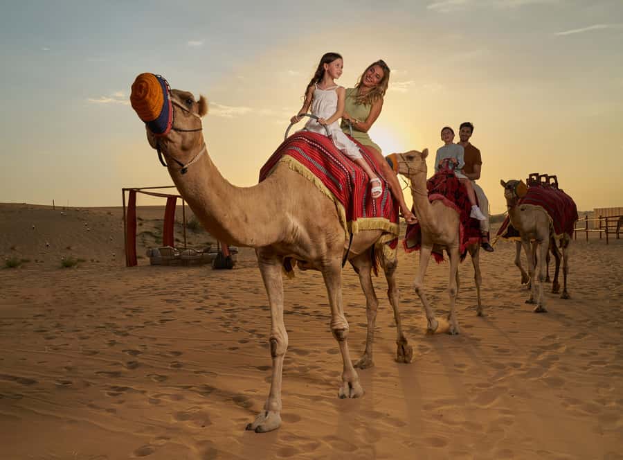 Dubai’s Best Desert Safari: Live Show & Gourmet BBQ Dinner - Why this safari feels fuller than a basic dune ride