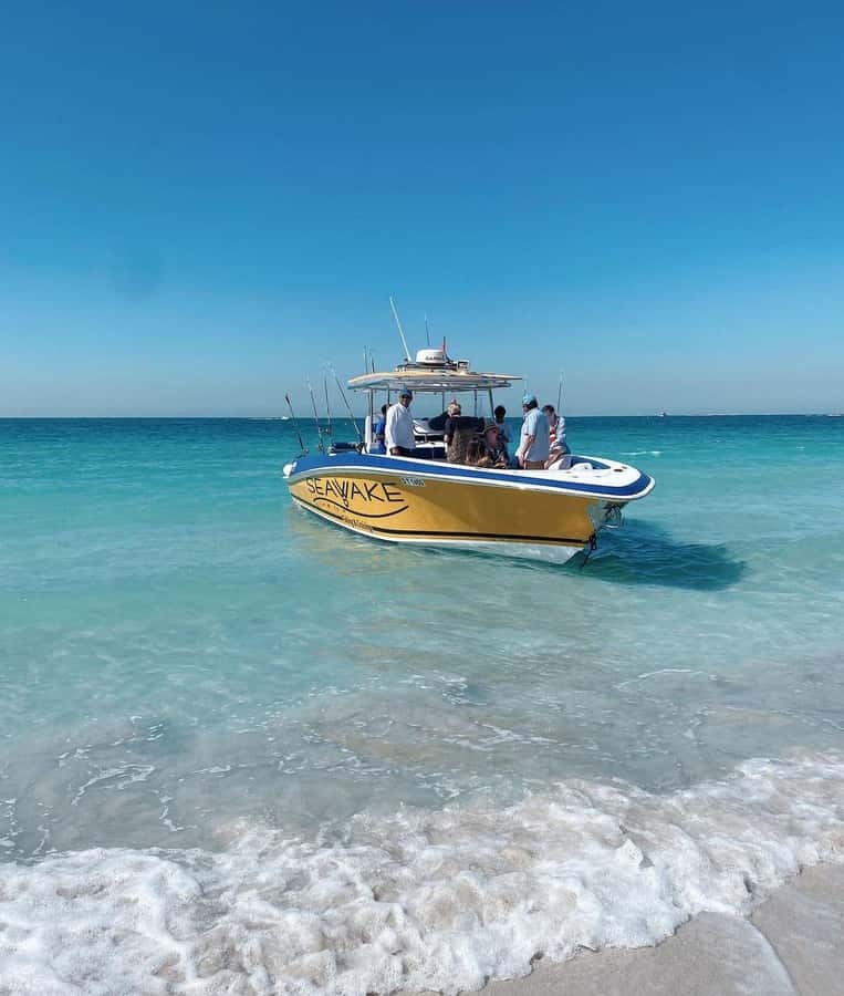 Dubai's BEST Fishing Charter – No Fish, No Pay! - Is the $680 Price Good Value?