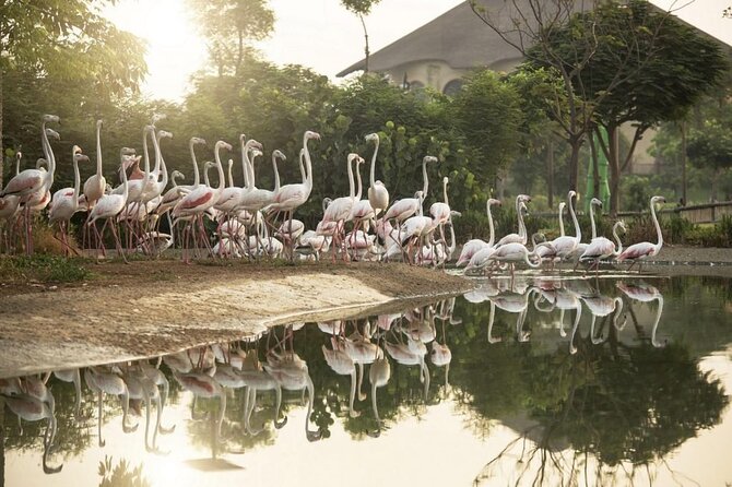 Dubai Safari Park - Walking into Al Wadi and the village areas