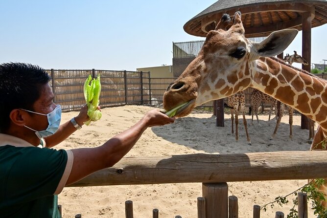 Dubai Safari Park - What the ticket price really gives you