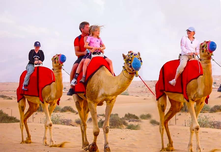 Dubai: Safari, Quad Bike, Camel Ride, and Buffet Dinner - The red dune drive