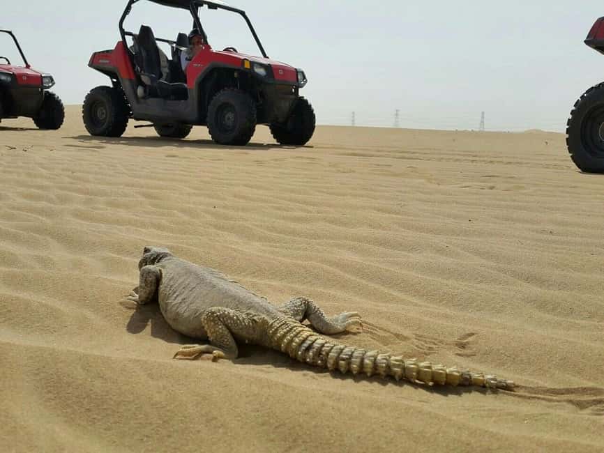 Dubai: Self-Drive Dune Buggy Safari with Pickup and Drop-Off - Following the guide into the desert