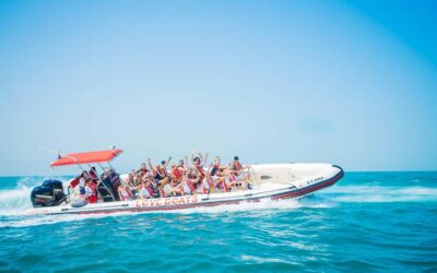 Sightseeing Speedboat Tour with Live Tour Guide