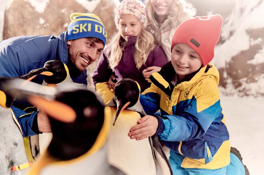 Dubai: Ski Dubai Snow Park Classic Pass - Snow gear, cold, and what to bring