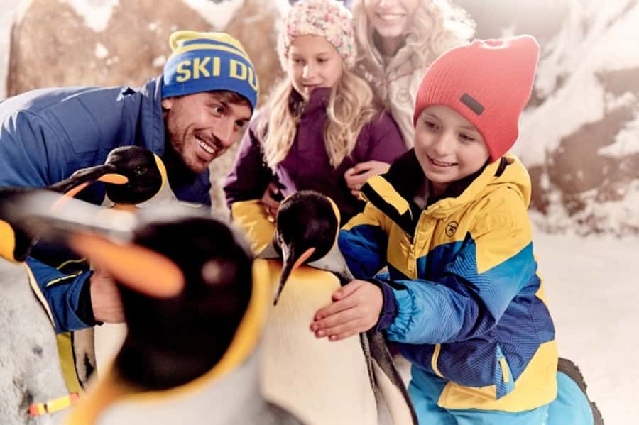Dubai: Ski Dubai Snow Plus Pass - Is $88 a fair price?