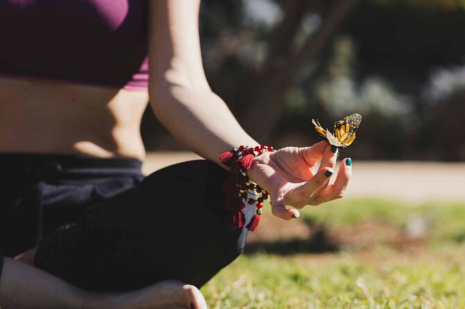 Dubai: Skip-The-Line Ticket to Butterfly Garden - How Long You Need and When It Fits Best