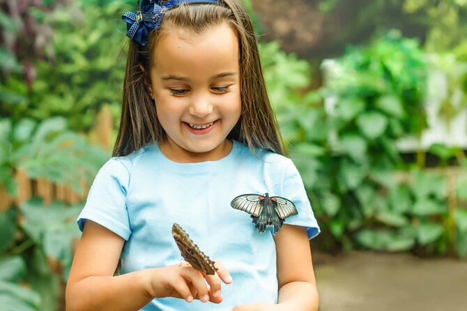 Dubai: Skip-The-Line Ticket to Butterfly Garden - Is the $20 Ticket Good Value?