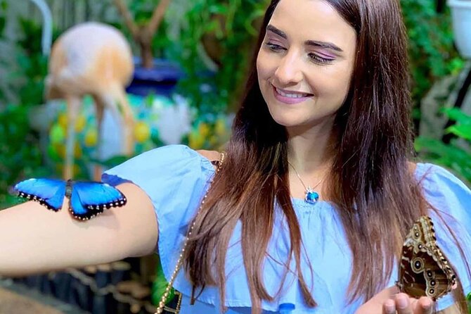 Dubai: Skip-The-Line Ticket to Butterfly Garden - Getting There and Finding the Entrance