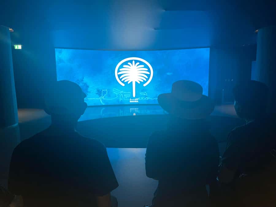 Dubai: Sky Pool and Palm Observatory Access - Who will enjoy this experience most