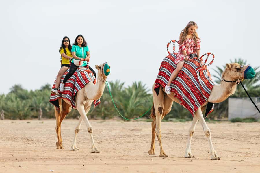 Dubai: Sunrise Balloon Flight with Camel Ride & Breakfast - The early hotel pickup and drive into the desert