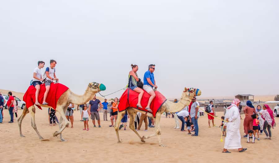 Dubai Sunrise Desert Camel Trek with Breakfast - The camel ride: steady, scenic, and best taken slowly