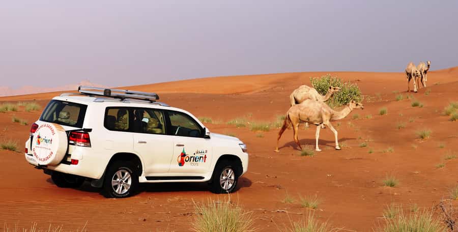 Dubai Sunrise Desert Camel Trek with Breakfast - Reaching Lahbab and finding the first good view